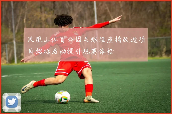 凤凰山体育公园足球场座椅改造项目招标启动提升观赛体验