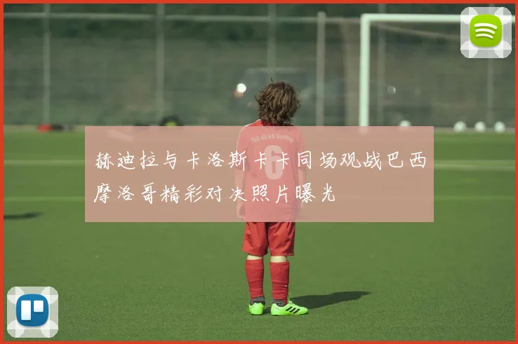 赫迪拉与卡洛斯卡卡同场观战巴西摩洛哥精彩对决照片曝光